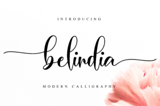 Belindia: A Premium Script Font for Elegant Web Design