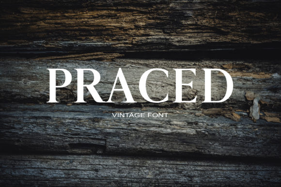 Choosing the Praced Serif Font for a Consistent Brand Identity