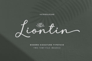 Liontin: Testing a Modern Script Font on a Boutique Website