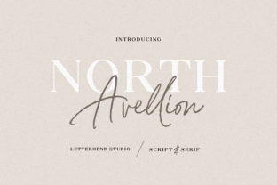 North Avellion Duo Font Review for Marketing Campaigns