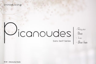 Picanoudes: A Sleek Sans Serif for Modern Projects